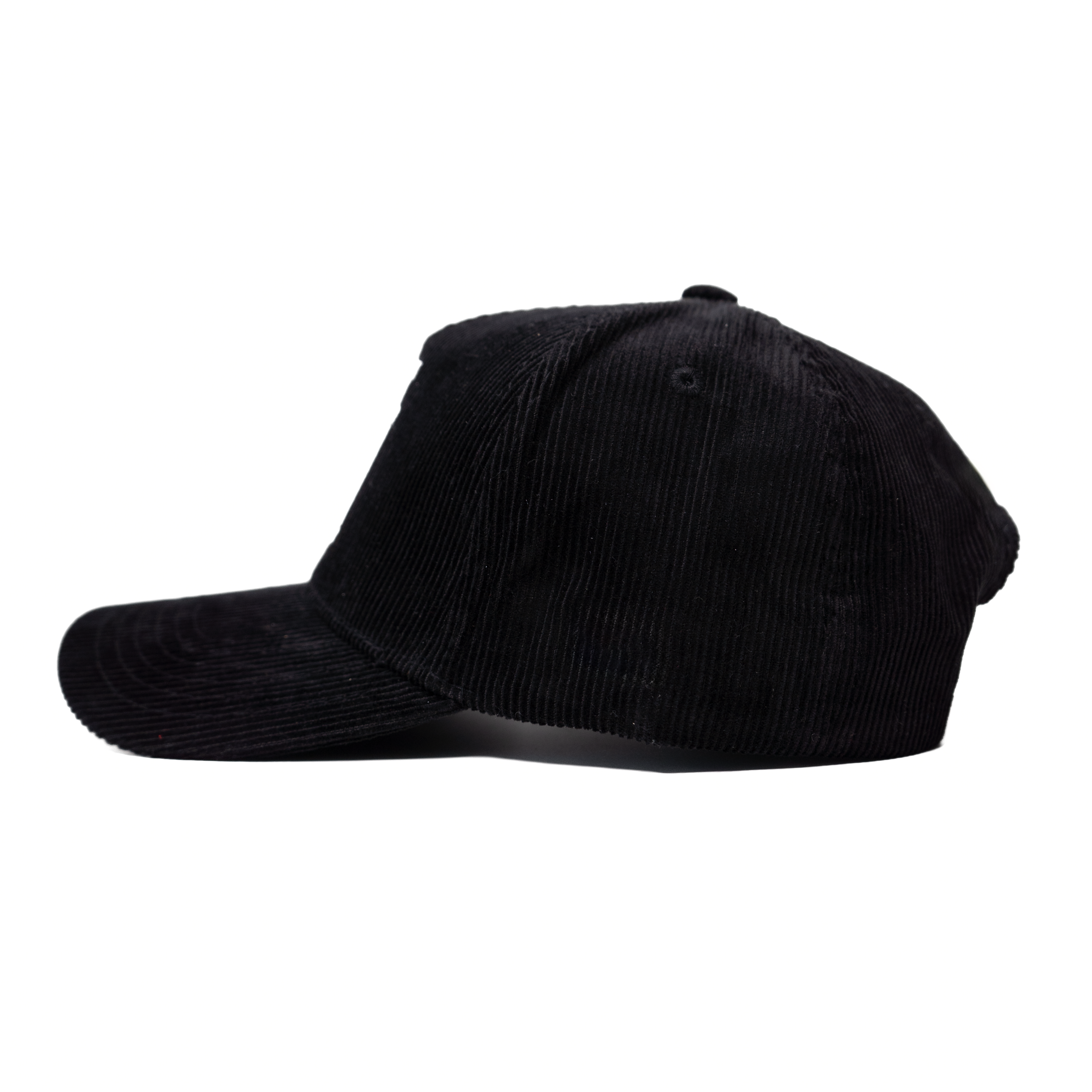 LA Wealth - Snapback