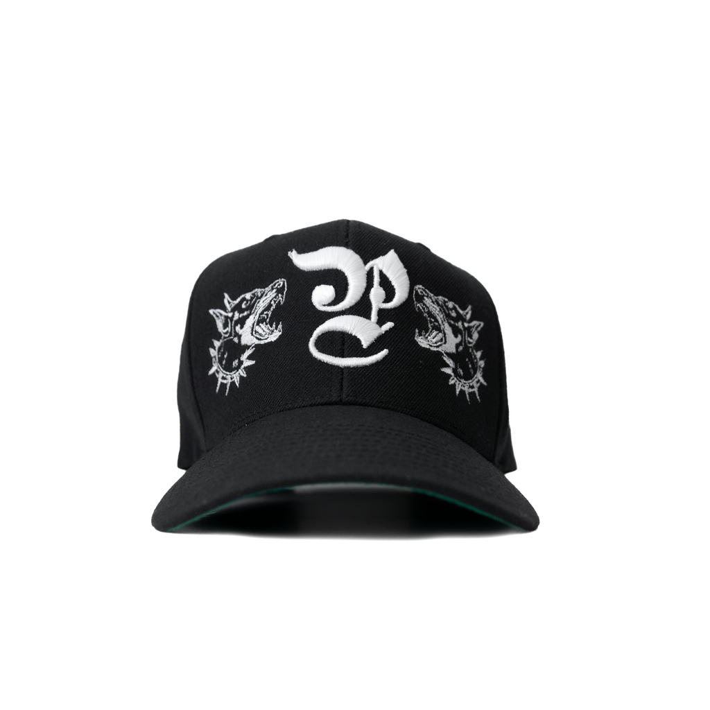 Doberman P - Snapback